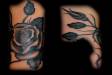 Black rose