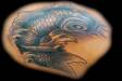 Koi Carp