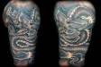 Black and gray dragon